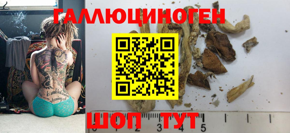 Галлюциногенные грибы Cubensis Глазов