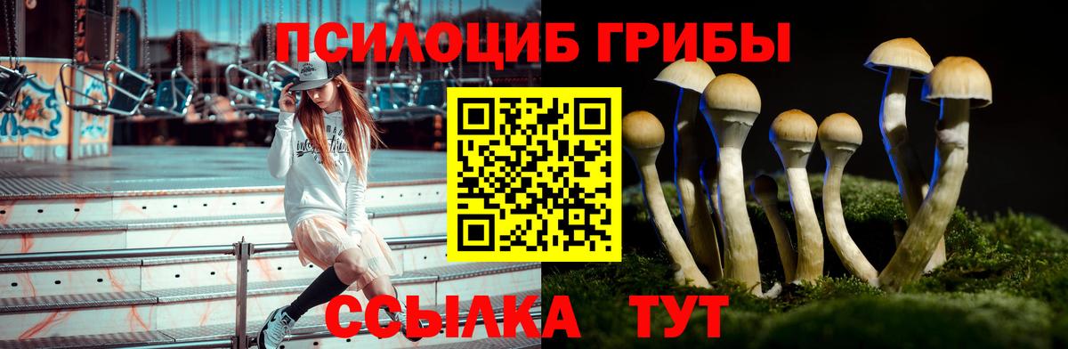 Глазов  Галлюциногенные грибы Cubensis  Псилоцибиновые грибы мухоморы  Вход с VPN 